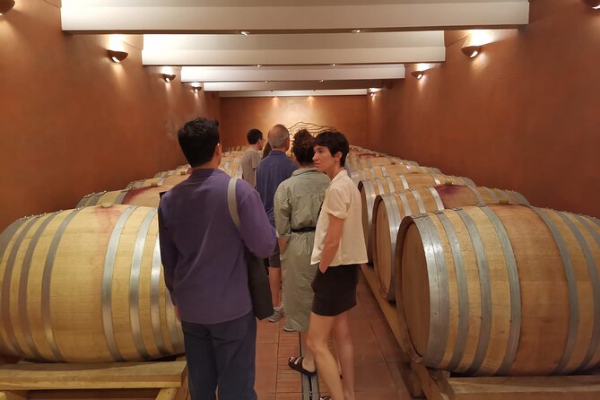 Marseille Shore Excursion - Private Full Day Wine Tour in Provence - Discover Wine Production Process