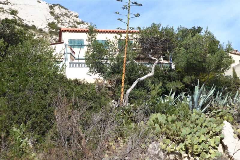 Marseille: Sormiou Calanque Half-Day Hiking Tour W/Swimming - Hiking Itinerary