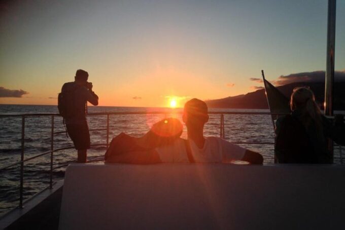 Marseille: Sunset Catamaran Cruise, Dinner & Drinks - Cruise Itinerary Adaptations for Safety and Comfort