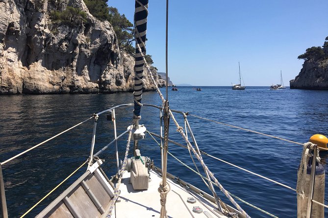 Marseille, the Sea Beauty at the Mercy of the Wind - Positive and Negative Feedback