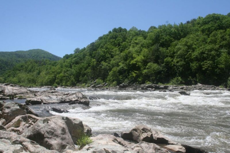 Marshall: French Broad Whitewater River Rafting Experience - Key Points