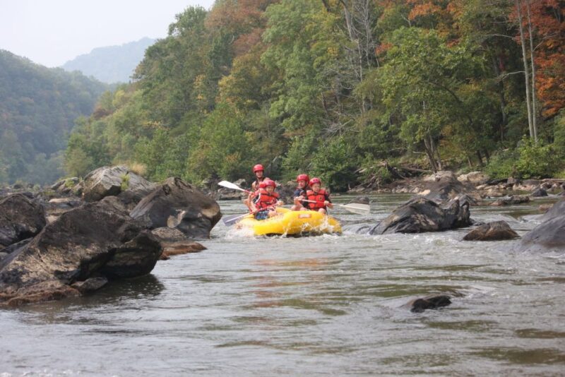 Marshall: French Broad Whitewater River Rafting Experience - Rafting Details