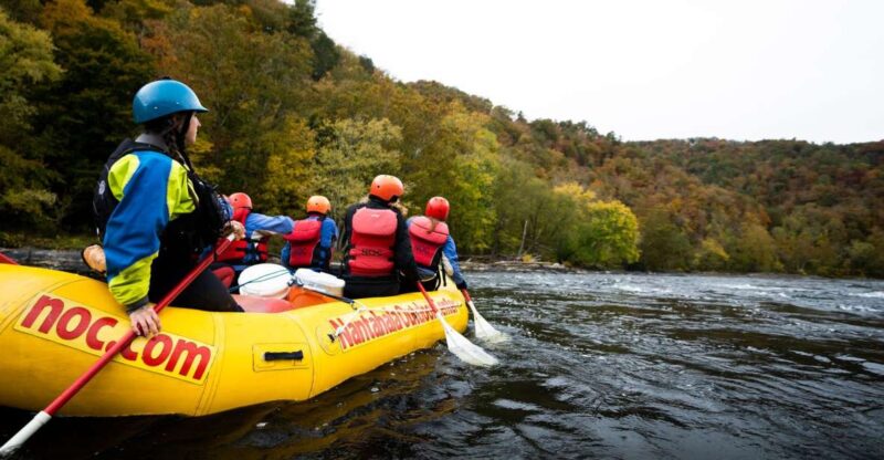 Marshall: French Broad Whitewater River Rafting Experience - Guides and Customer Experience