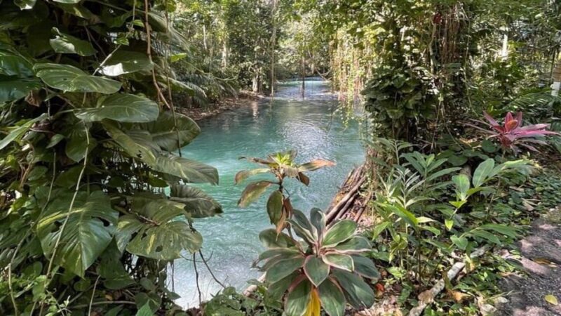 Martha Brae Bamboo Rafting Tour From Montego Bay - Experience Highlights