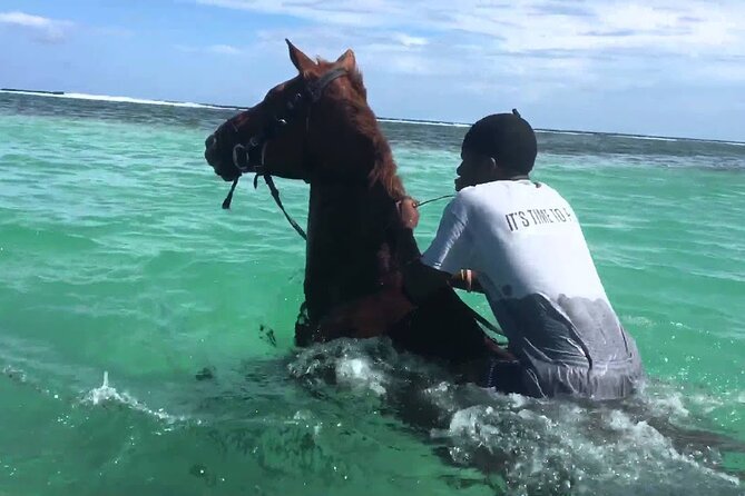 Martha Brae Rafting, Horseback Riding and Luminous Lagoon - Triple Treat - Health and Safety