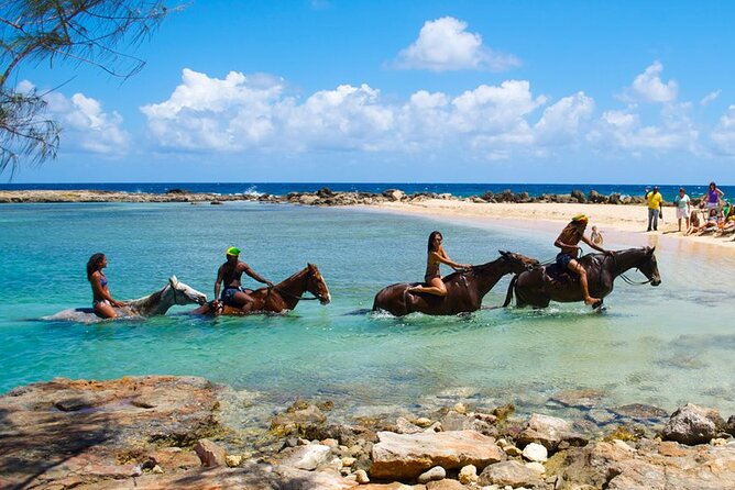 Martha Brae Rafting, Horseback Riding and Luminous Lagoon - Triple Treat - Customer Feedback