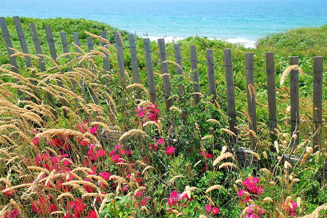 Marthas Vineyard Daytrip From Boston With Round-Trip Ferry & Island Tour Option - Inclusions in the Package