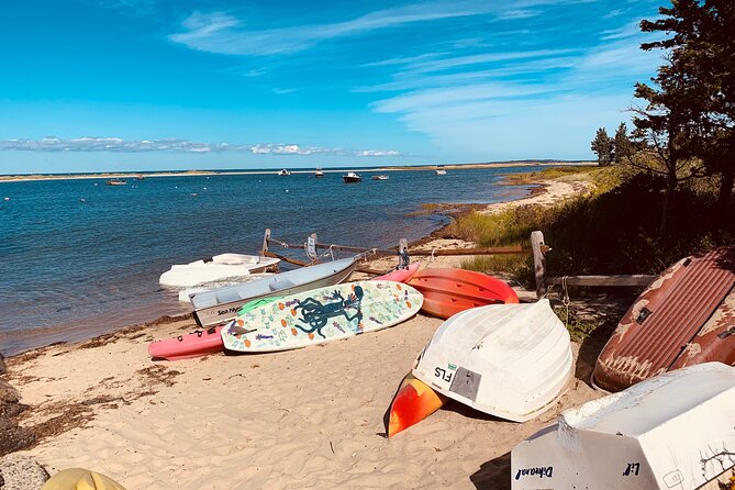 Marthas Vineyard Luxury Tour (2hrs) - Why Choose This Tour