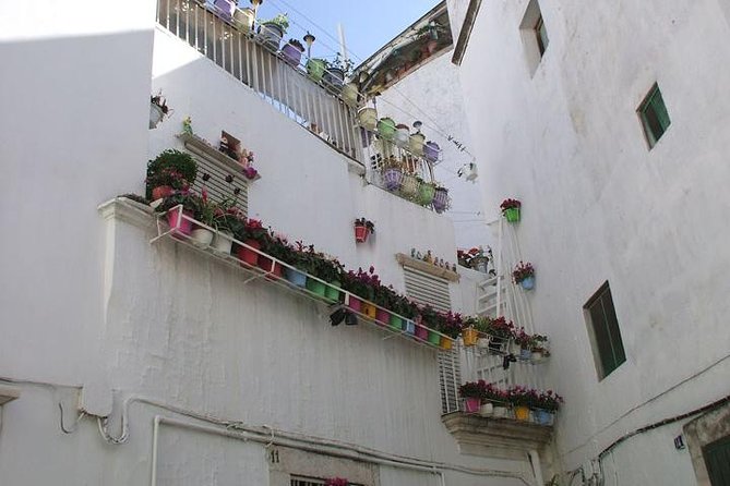 Martina Franca: a Gem Among Baroque and Rococo Style With Bocconotti Tasting - Key Points