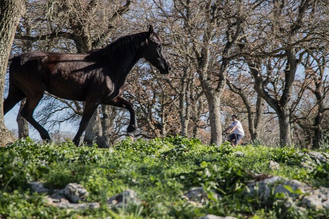 Martina Franca E-Bike Tour . Visit a Breeding and a Dairy Farm - Cancellation Policy and Reviews