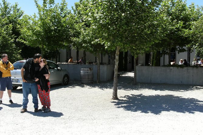 Martinborough Full Day Wine Tour - Transportation and Logistics
