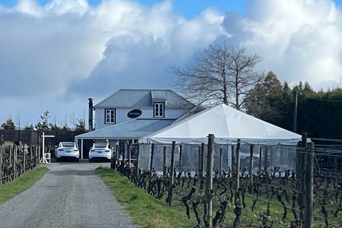Martinborough High Tea and Wine Tour in Tesla SUVs - Pickup and Meeting
