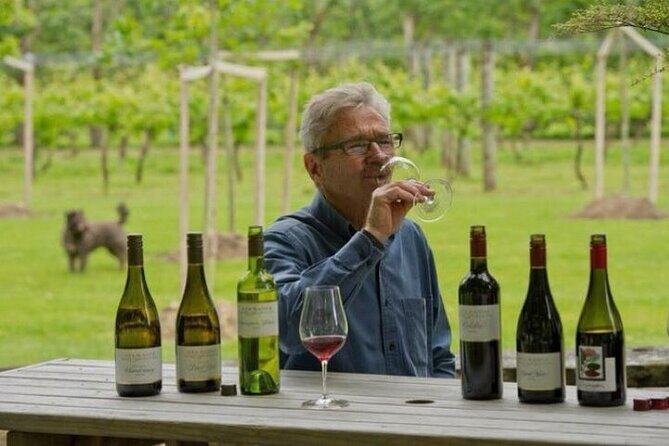 Martinborough Private 5 Hour Food & Wine Tour With Gourmet Lunch - Private Tour Experience