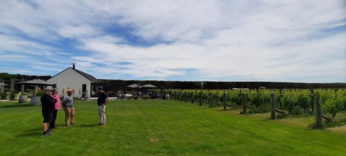 Martinborough Wine and Food Tour With Lunch From Wellington - Customer Ratings and Highlights
