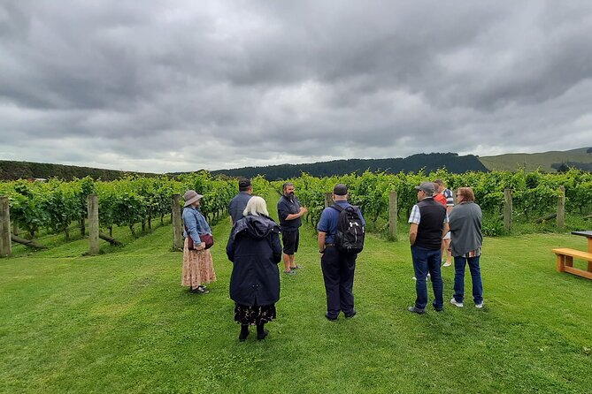 Martinborough Wine and Wild Coast Tour From Wellington - Pickup Information