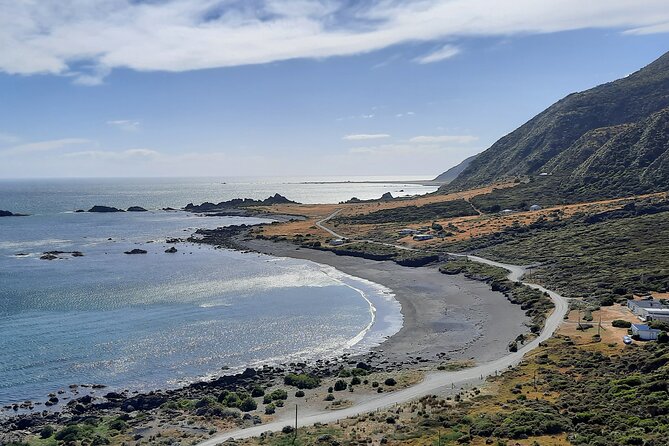 Martinborough Wine and Wild Coast Tour From Wellington - Start and End Point