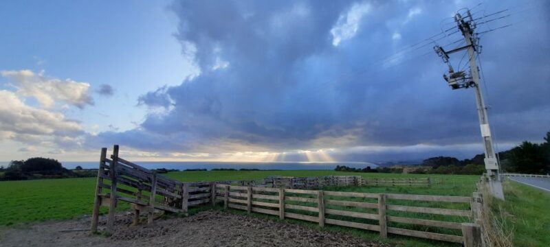 Martinborough Winery and South Wairarapa Wild Coast Tour - Wine Tasting and Tapas