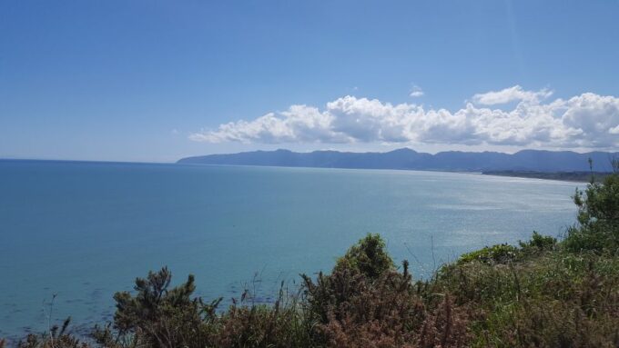 Martinborough Winery and South Wairarapa Wild Coast Tour - Dining at Lake Ferry Hotel