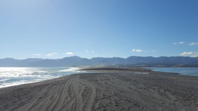 Martinborough Winery and South Wairarapa Wild Coast Tour - Recommendations and Feedback