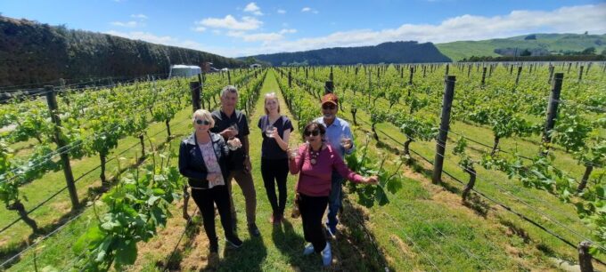 Martinborough Winery Tour - Scenic Drive and Remutaka Summit