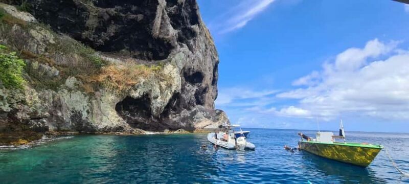 Martinique: Cruise and Snorkel with Turtles, Fish, and Corals - An Authentic and Fun Marine Adventure