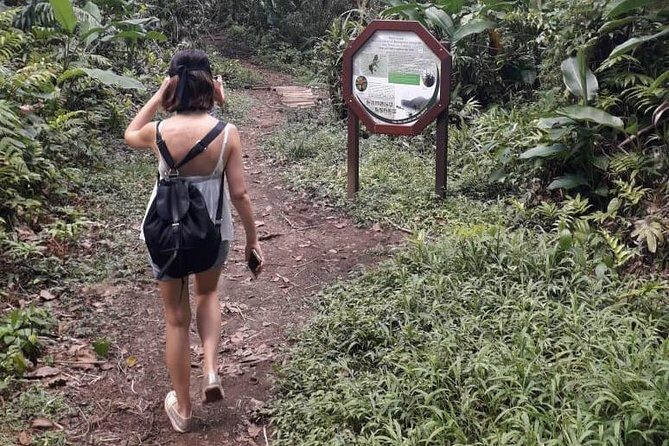 Martinique North Island Private Tour - A Closer Look at the Itinerary