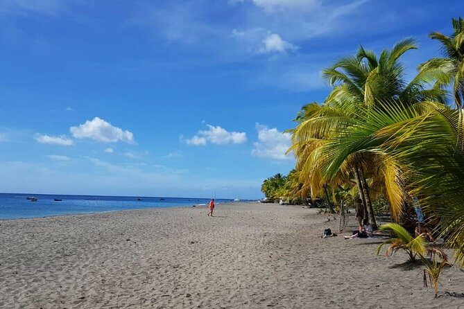 Martinique North Island Private Tour - Why This Tour Stands Out