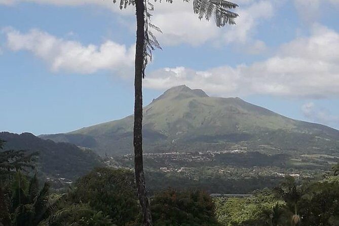 Martinique North Island Private Tour - Final Thoughts
