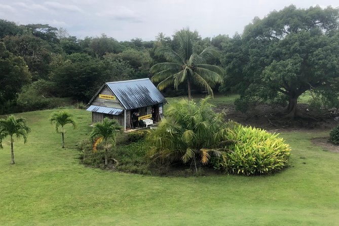 Martinique Shore Excursion - Authentic Tour of Southern Martinique - Traveler Experiences