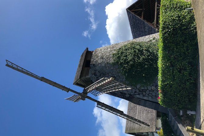 Martinique Shore Excursion - Authentic Tour of Southern Martinique - Positive Experiences