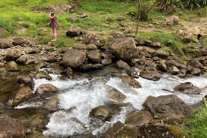 Martinique Shore Excursion - Unmissable Martinique North Tour - Tour Overview