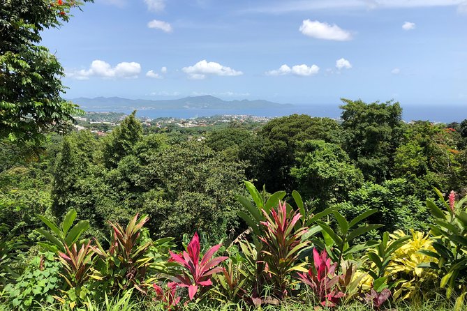 Martinique Shore Excursion - Unmissable Martinique North Tour - Accessibility and Attire