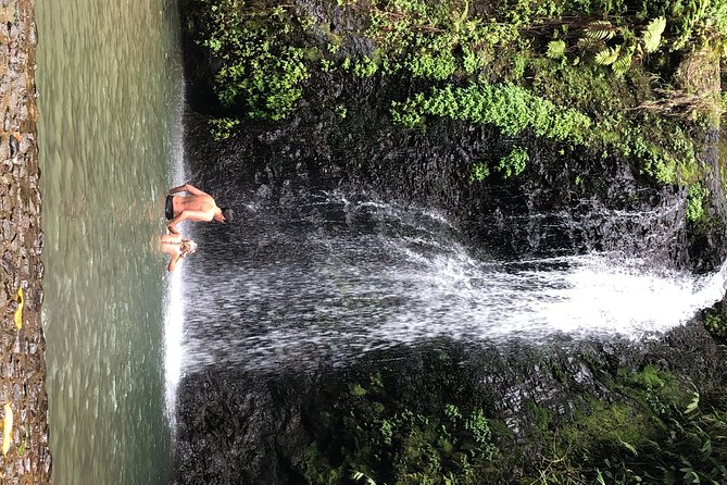 Martinique Shore Excursion - Unmissable Martinique North Tour - Group Size and Cancellation