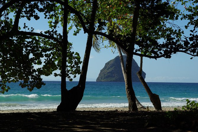Martinique South Island Private Tour - Positive Customer Reviews