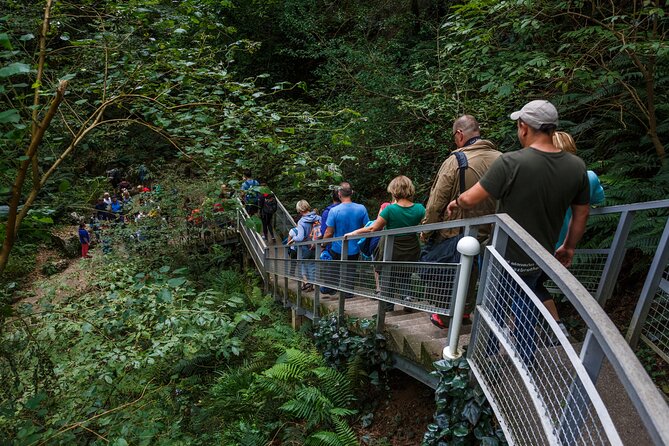 Martvili Canyon & Prometheus Cave Group Tour From Tbilisi - Highlights: Prometheus Cave