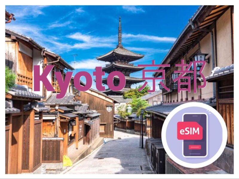 Maru Japan Esim, 2GB per Day, Total 16GB for 8 Days, High Speed - Carrier Details