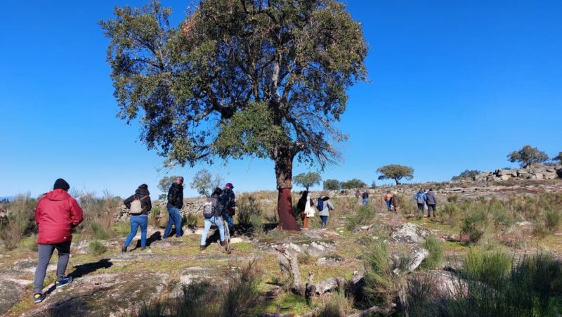 Marvão: Megalithic Monuments Private Tour With Hotel Pickup - Key Points