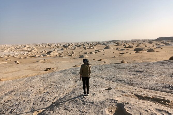 Marvel 10 Day to Giza Pyramids ,White Desert ,Nile Cruise & Hotel - Accessibility