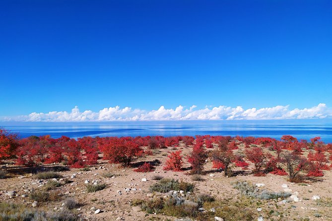 Marvellous 3 Days Around Issyk-Kul Lake - Key Points