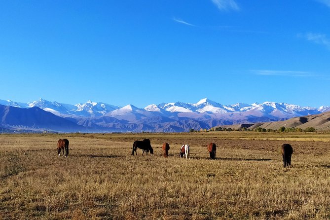 Marvellous 3 Days Around Issyk-Kul Lake - Participation Details