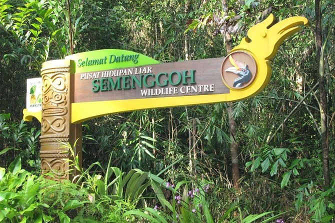 Marvellous Creature Orangutan : Sarawak Semenggoh Wildlife Centre Tour - Positive Customer Feedback