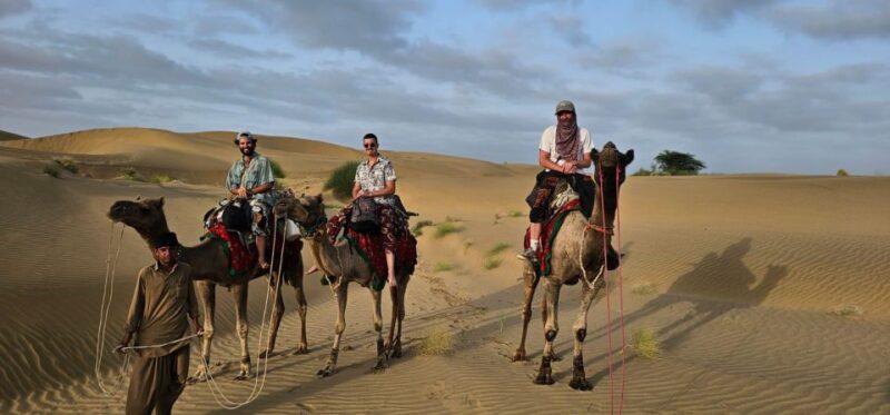 Marvin 2 Nights 3 Days Non Touristic Camel & Desert Safari - Highlights of the Experience