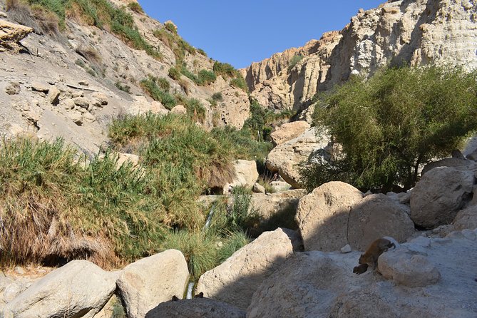 Masada, Ein Gedi, and the Dead Sea From Tel Aviv - Confirmation Details