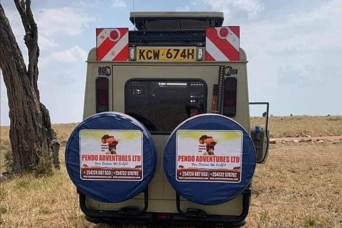 Masai Mara, Amboseli National Park 5days Safari. - Safari Highlights