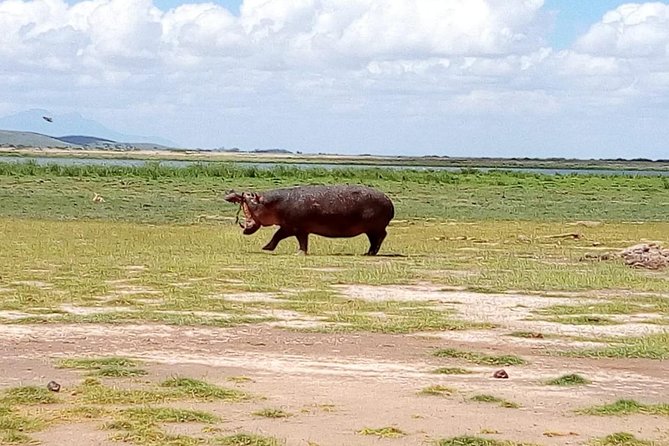 Masai Mara Full Day Tour From Nairobi, Naivasha or Nakuru - Booking Confirmation