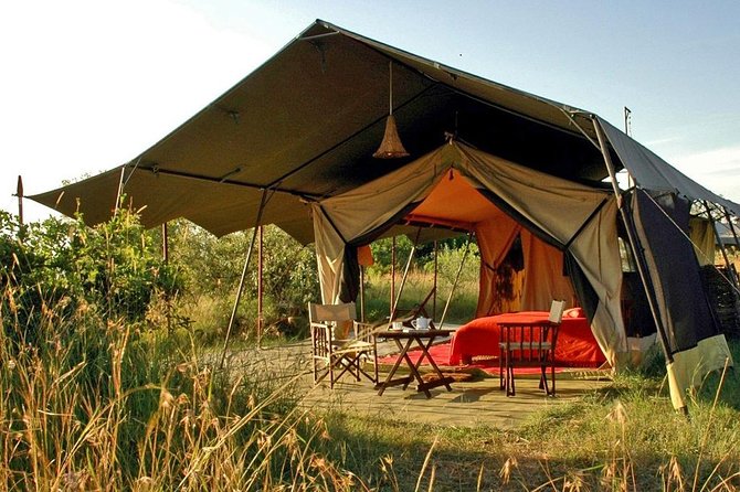 Masai Mara Game Reserve Safari Tour, 4 Days 3 Nights - Pickup and Confirmation