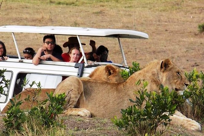 Masai Mara Game Reserve Safari Tour, 4 Days 3 Nights - Wheelchair Accessibility