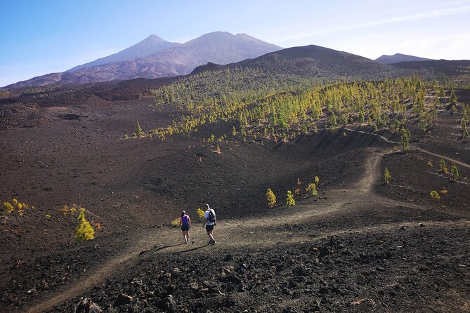 Masca - Garachico - Icod - Teide National Park - Exploring Teide National Park
