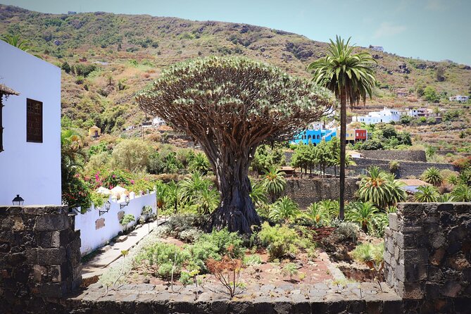 Masca - Garachico - Icod - Teide National Park - Panoramic Vistas and Volcanic Landscapes