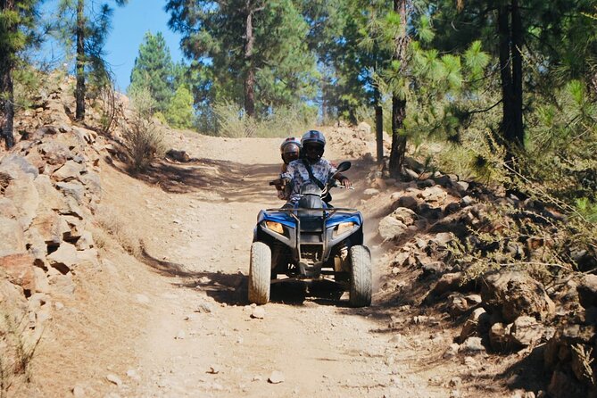 Masca Valley Guided Buggy Tour With Lunch, Day & Sunset - Meeting and Pickup